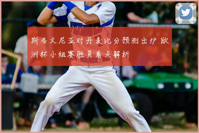 斯洛文尼亚对丹麦比分预测出炉 欧洲杯小组赛胜负看点解析