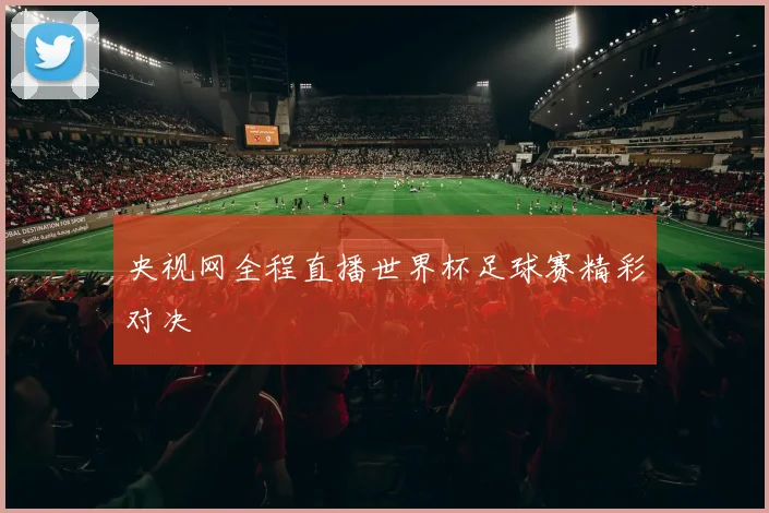 央视网全程直播世界杯足球赛精彩对决