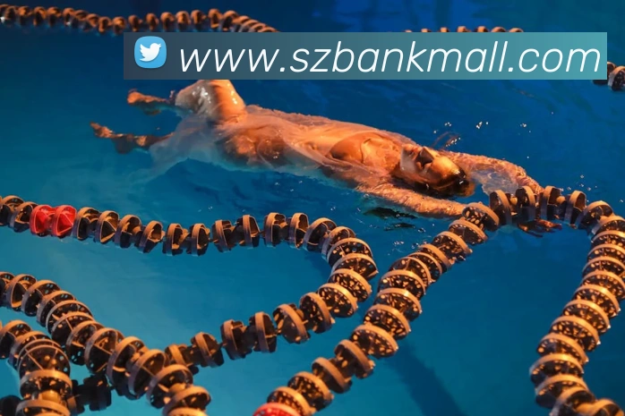 半岛网站发展历程